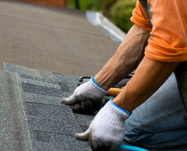Best Roof Gutter Cleaning  in Kings Mountain, NC